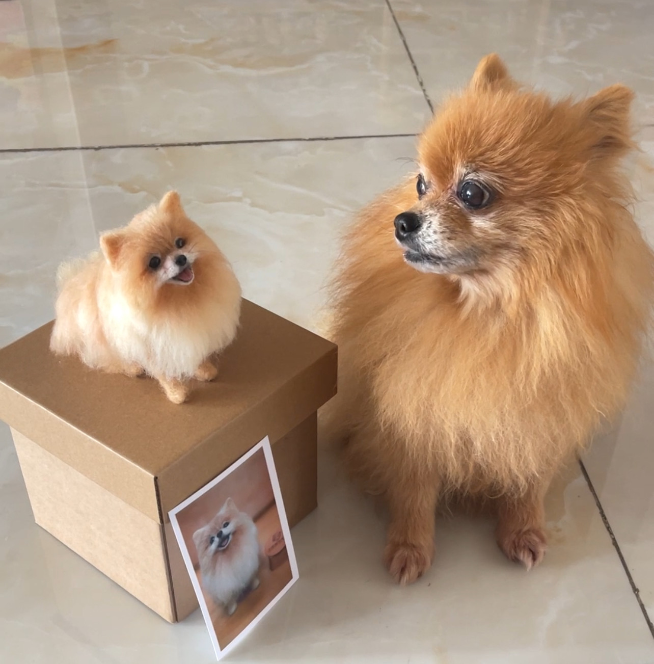 Capturing Your Best Friend: Beyond a Simple Photo