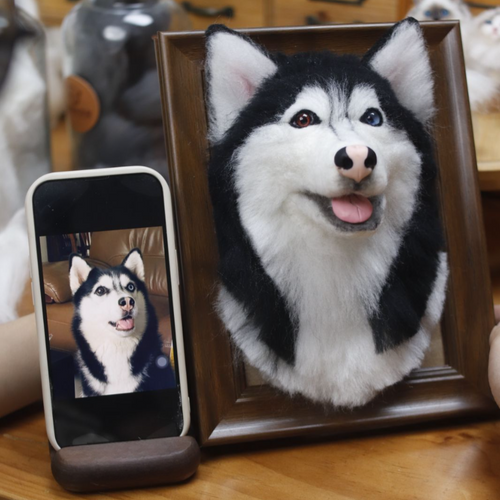 3D Custom Needle Felted Pet Portrait - Framed Dog or Cat Head Memorial Art