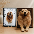 Bespoke 3D Needle Felted Pet Bust - Custom Half-Body Dog & Cat Framed Sculpture
