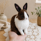 Custom Needle Felted Exotic Pet Miniature - Realistic Bunny, Hamster & Bird Small Animal Sculpture