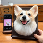 3D Custom Needle Felted Pet Portrait - Framed Dog or Cat Head Memorial Art